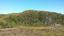 Grønlia
