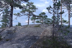 Åslandknatten NV
