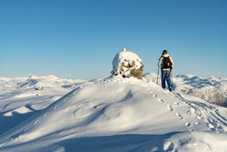 Steinamannen