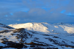 Svahøa