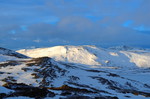 Svahøa