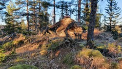 Øst for Ørsteinåsen