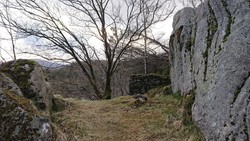 Ørneredet (ruin)