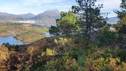 Kjerkeskarhaugen