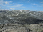 Tverreggi