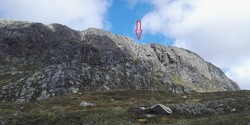 Svarteknippa sørrenna