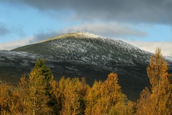 Spekehøan