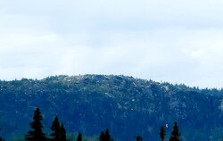 Nonsknatten