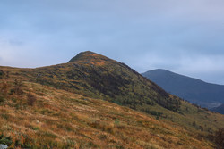 Kiberget