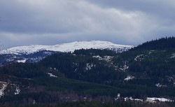 Høgfjell