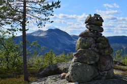 Dyrskardnuten