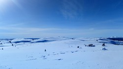 Svartetjernknatten