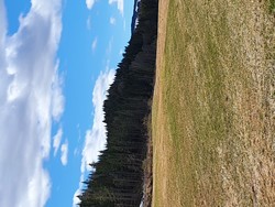 Høgberget Vest