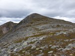 Reinkalvtinden
