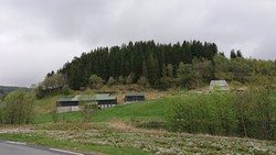 Kistehaugen