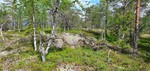 Såta