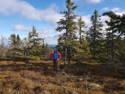 Synsåsen V2
