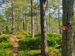 Litlåsen