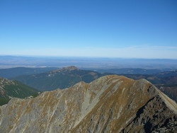 Spálená