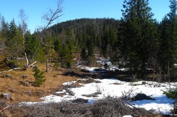 Dolstadåsen
