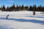 Formokjølen