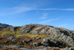 Suldalsheia