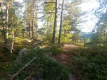 Totjernåsen