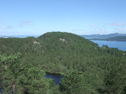 Lauvåsen