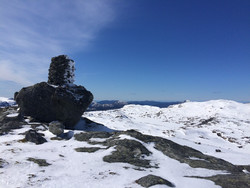 Vardanuten