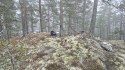 Dalsåsen