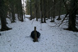 Lamannshaugen Nord