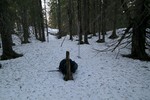 Lamannshaugen Nord