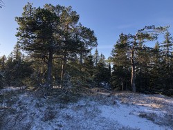 Klantefjell