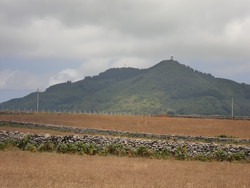 Pico Alto