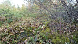 Nunnåsfjellet