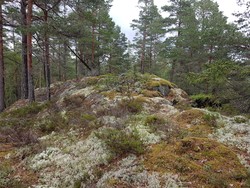 Vindsknatten Øst