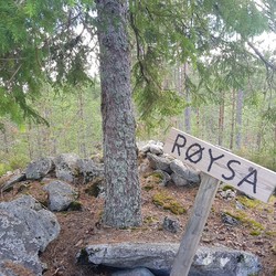 Røysa