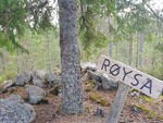 Røysa