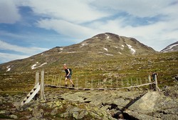 Uksedalshøe