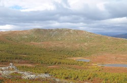 Veslvassfjellet