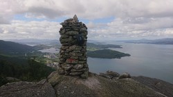 Gråskallen