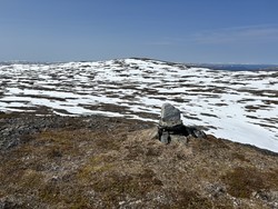 Skjelåpynten