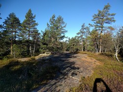 Bjørge-Slettås