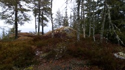 Gjertrudkampen