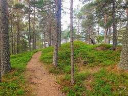 Kolmanneset