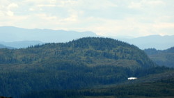 Båvasshaugen