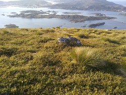 Nautøya
