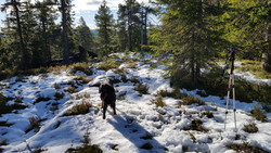 Jenssæteråsen