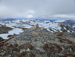 Hommedekkane