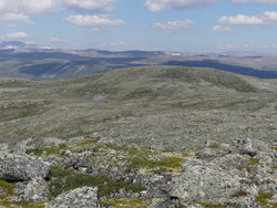 Einingskampen